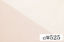 画像をギャラリービューアに読み込む, CS1001 ハイゲージチュール 525
