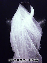 画像をギャラリービューアに読み込む, CS1009 エトワール 4