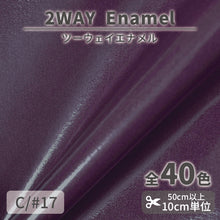 画像をギャラリービューアに読み込む, CS1017 2WAY エナメル 17