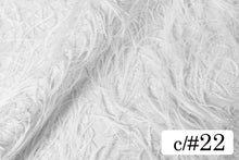 画像をギャラリービューアに読み込む, CS10184 マンス 22