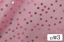 画像をギャラリービューアに読み込む, CS1186 スターダストスパン 3