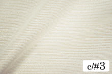 画像をギャラリービューアに読み込む, CS1283 ラゲットラメスラブ 3