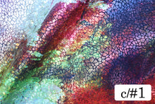 画像をギャラリービューアに読み込む, CS1331 グランジオーロラ 1
