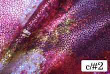画像をギャラリービューアに読み込む, CS1331 グランジオーロラ 2