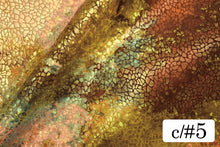 画像をギャラリービューアに読み込む, CS1331 グランジオーロラ 5