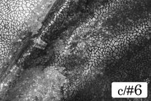 画像をギャラリービューアに読み込む, CS1331 グランジオーロラ 6