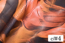 画像をギャラリービューアに読み込む, CS1347 カーモス 4