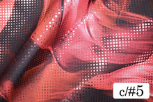 画像をギャラリービューアに読み込む, CS1347 カーモス 5