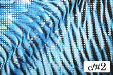 画像をギャラリービューアに読み込む, CS1348 ツーウェイタキオン 2