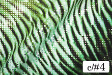 画像をギャラリービューアに読み込む, CS1348 ツーウェイタキオン 4