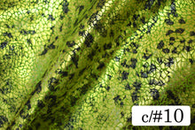 画像をギャラリービューアに読み込む, CS1353 2WAYスネーク&パンサー 10