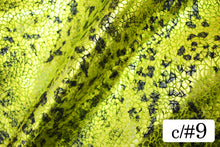 画像をギャラリービューアに読み込む, CS1353 2WAYスネーク&パンサー 9