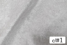 画像をギャラリービューアに読み込む, CS1364 ツーウェイテグラフォイル 1