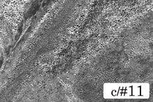 画像をギャラリービューアに読み込む, CS1364 ツーウェイテグラフォイル 11