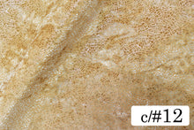 画像をギャラリービューアに読み込む, CS1364 ツーウェイテグラフォイル 12