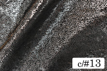 画像をギャラリービューアに読み込む, CS1364 ツーウェイテグラフォイル 13