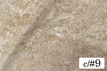 画像をギャラリービューアに読み込む, CS1364 ツーウェイテグラフォイル 9