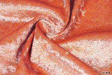 画像をギャラリービューアに読み込む, CS1364 ツーウェイテグラフォイル 14