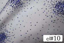 画像をギャラリービューアに読み込む, CS1434 ラディアンスグリッター 10