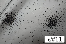 画像をギャラリービューアに読み込む, CS1434 ラディアンスグリッター 11