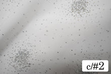 画像をギャラリービューアに読み込む, CS1434 ラディアンスグリッター 2