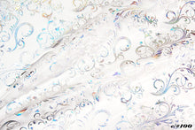 画像をギャラリービューアに読み込む, CS1446E ヘデラルーチェオーガンジー 103