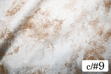 画像をギャラリービューアに読み込む, CS1447 ニヴァリス 9