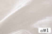 画像をギャラリービューアに読み込む, CS1450 ルミナスオーガンジー 1