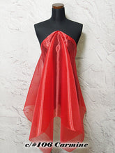 画像をギャラリービューアに読み込む, CS2600 ミラーオーガンジー 21