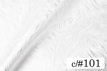 画像をギャラリービューアに読み込む, CS6018 リネアージュ 101