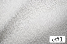 画像をギャラリービューアに読み込む, CS954W フィッシュネット 1