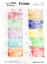 画像をギャラリービューアに読み込む, CSP300 エアリーゼ 1