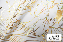 画像をギャラリービューアに読み込む, CSP351 スターリーシー 2