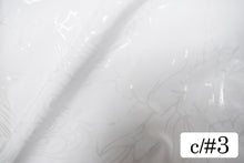 画像をギャラリービューアに読み込む, CSP351 スターリーシー 3