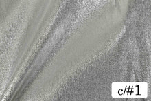 画像をギャラリービューアに読み込む, CSS524 エラスラメソフト 1