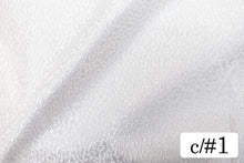 画像をギャラリービューアに読み込む, CST427 プレシュール 1