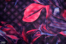 画像をギャラリービューアに読み込む, CS1347 カーモス 5