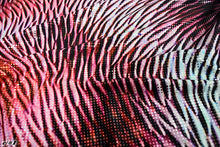 画像をギャラリービューアに読み込む, CS1348 ツーウェイタキオン 2