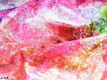 画像をギャラリービューアに読み込む, CS1331 グランジオーロラ 6