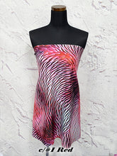 画像をギャラリービューアに読み込む, CS1348 ツーウェイタキオン 1