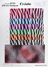 画像をギャラリービューアに読み込む, CS1348 ツーウェイタキオン 6