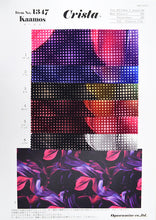 画像をギャラリービューアに読み込む, CS1347 カーモス 4