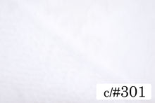 画像をギャラリービューアに読み込む, CS1000 ハイゲージチュール 301