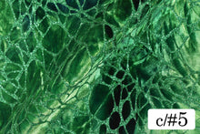 画像をギャラリービューアに読み込む, CS1005 ディアボロ 5