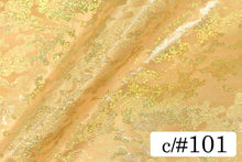 画像をギャラリービューアに読み込む, CS10200 カムファメントホロ 101