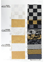 画像をギャラリービューアに読み込む, CS10207 アステルホロ 6