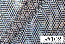 画像をギャラリービューアに読み込む, CS10219 セレスティアルホロ 102