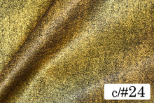 画像をギャラリービューアに読み込む, CS10257 サビラメジャガード 24