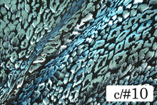 画像をギャラリービューアに読み込む, CS1031 2WAYジュラシックフォーム 10