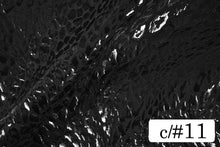 画像をギャラリービューアに読み込む, CS1031 2WAYジュラシックフォーム 11